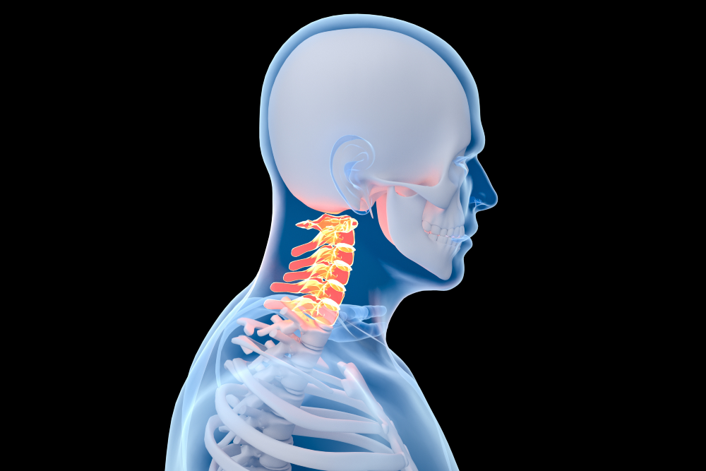 Orthopaedics (Spinal Stenosis)